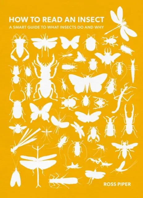 Cover: 9781803991610 | How to Read an Insect | A Smart Guide to What Insects Do and Why
