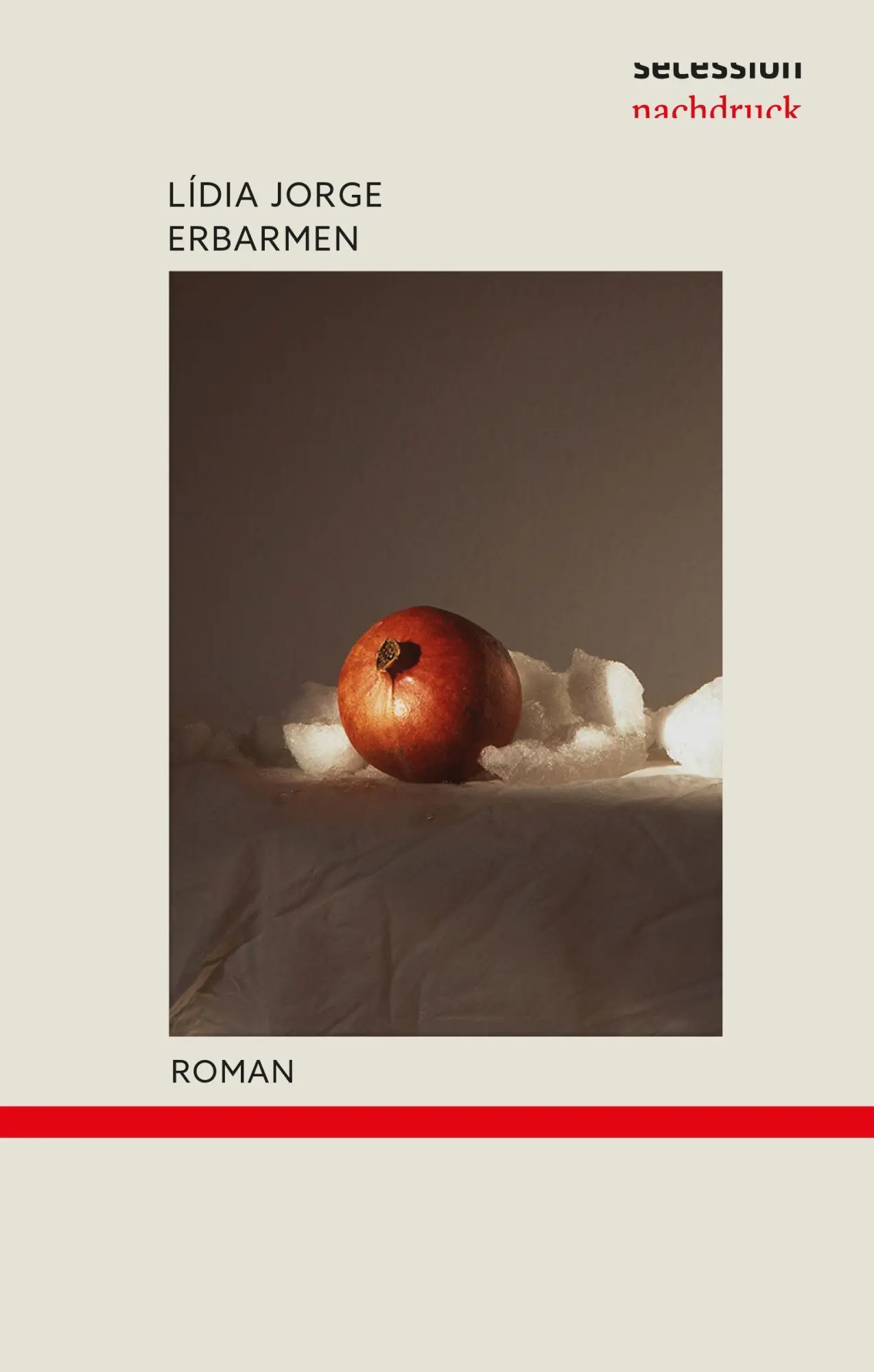 Cover: 9783966391610 | Erbarmen | Lídia Jorge | Taschenbuch | 430 S. | Deutsch | 2026