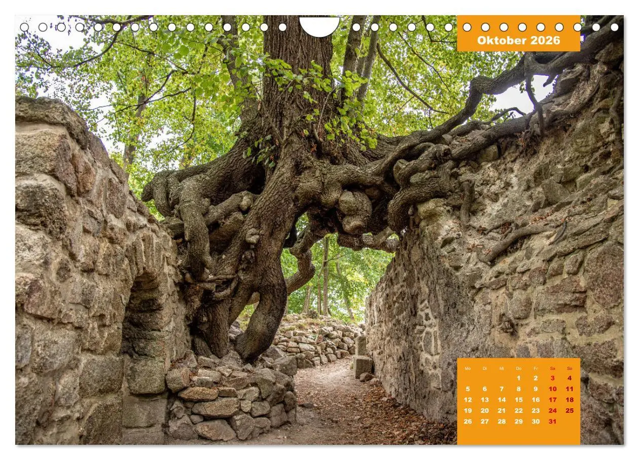 Bild: 9783457591710 | Traumhafter Harz (Wandkalender 2026 DIN A4 quer), CALVENDO...