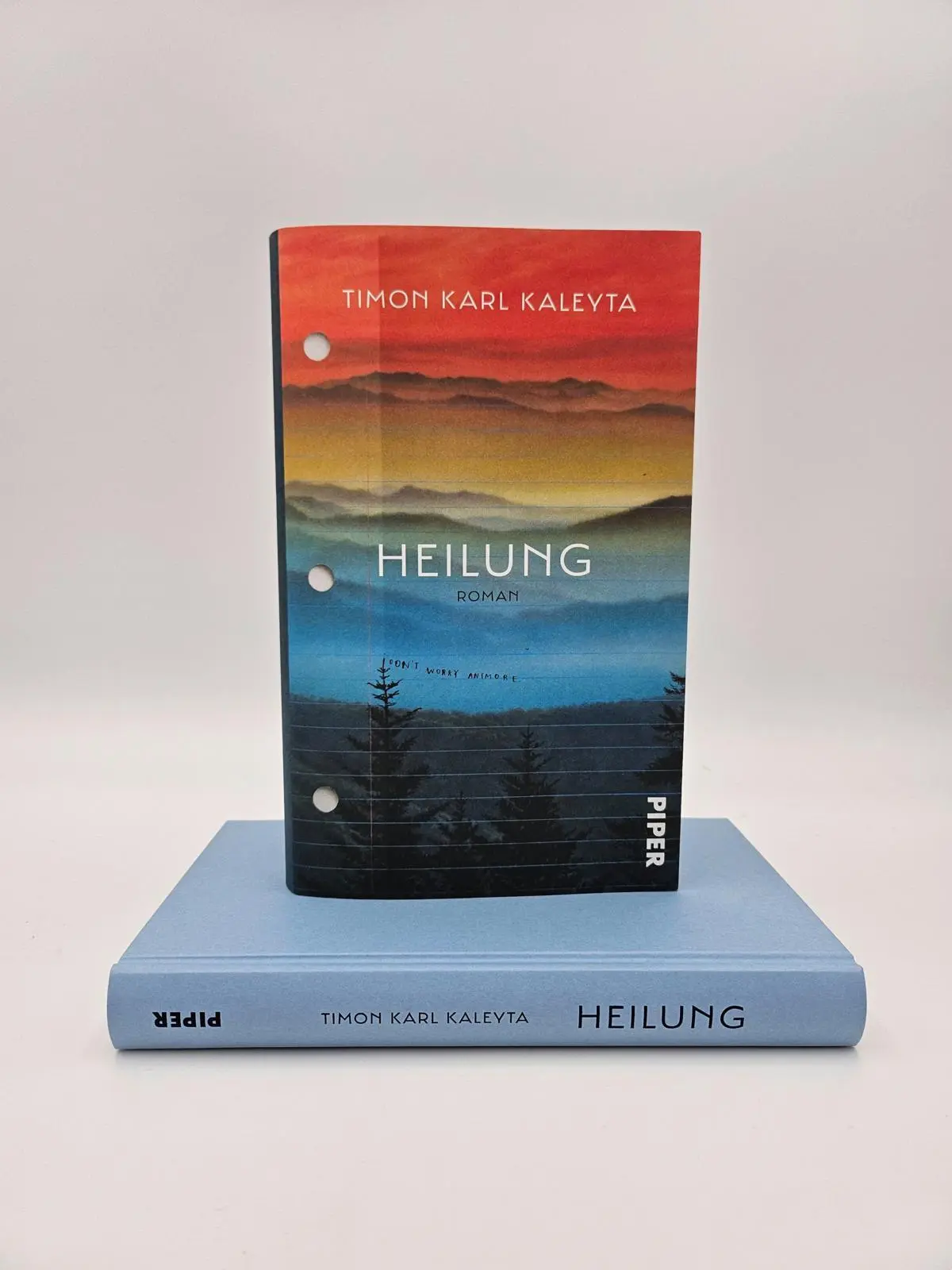 Bild: 9783492071710 | Heilung | Roman Nominiert für den Deutschen Buchpreis 2024 | Kaleyta