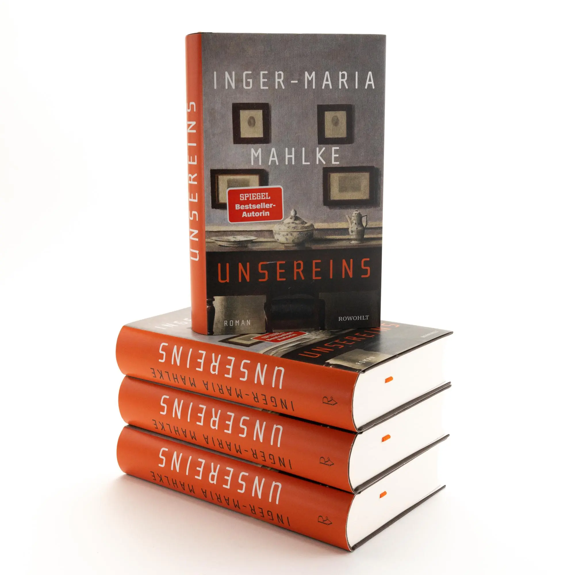 Bild: 9783498001810 | Unsereins | Inger-Maria Mahlke | Buch | 496 S. | Deutsch | 2023