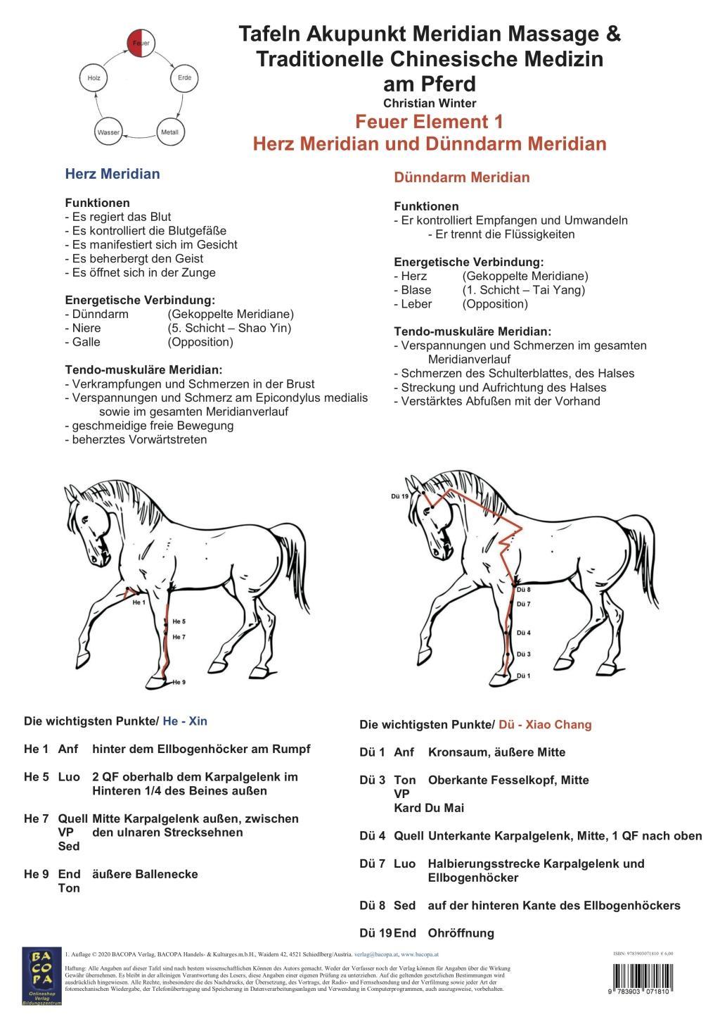 Cover: 9783903071810 | Feuer Element 1 - Herz Meridian und Dünndarm Meridian | Winter | 1 S.