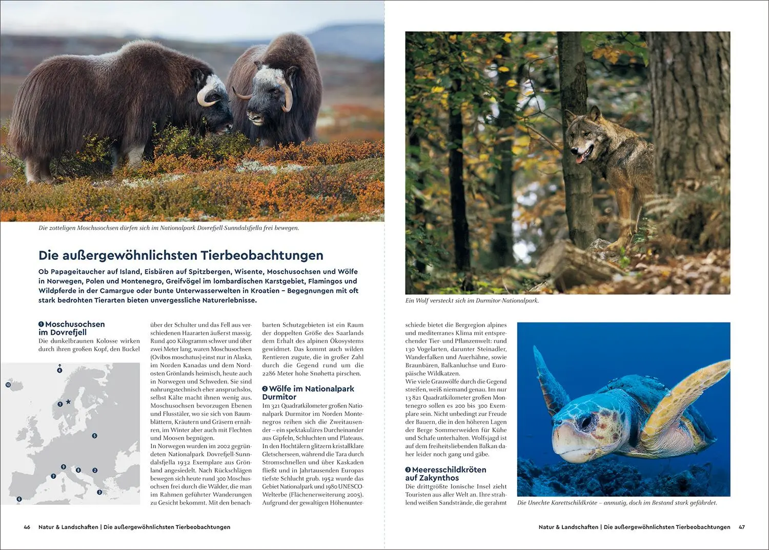 Bild: 9783969651810 | KUNTH Best of Europa | Unterwegs zu den Top-Reisezielen | Ingala