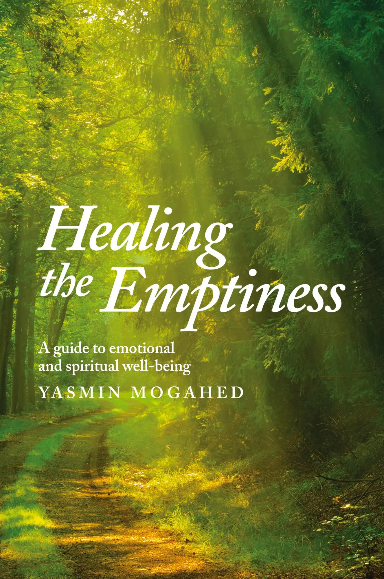 Cover: 9798985291810 | Healing the Emptiness | A guide to emotional and spiritual well-being