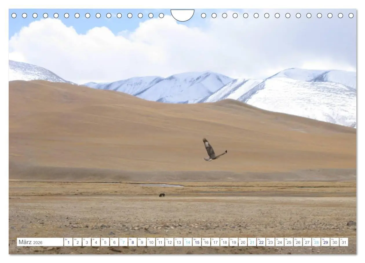 Bild: 9783516111910 | Tibet (Wandkalender 2026 DIN A4 quer), CALVENDO Monatskalender | Pickl