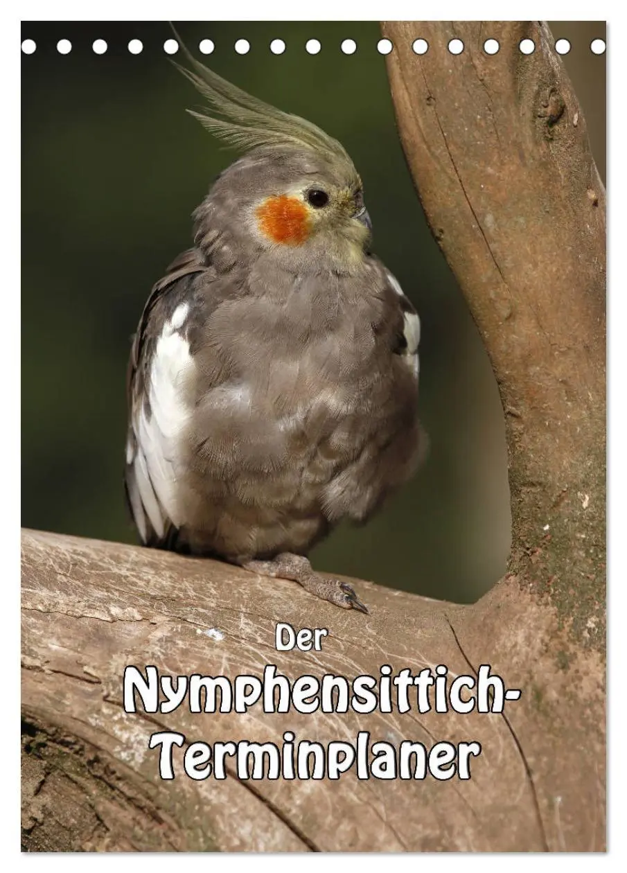 Cover: 9783516421910 | Der Nymphensittich-Terminplaner (Tischkalender 2026 DIN A5 hoch),...