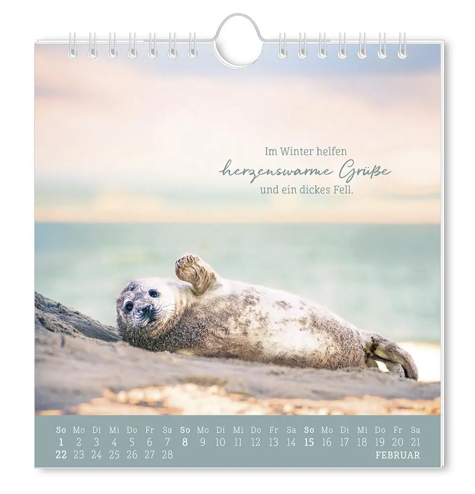 Bild: 9783986362010 | Postkartenkalender 2026 Strandgut | Postkartenkalender | Original