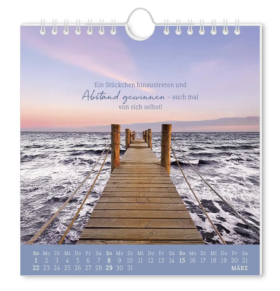 Bild: 9783986362010 | Postkartenkalender 2026 Strandgut | Postkartenkalender | Original