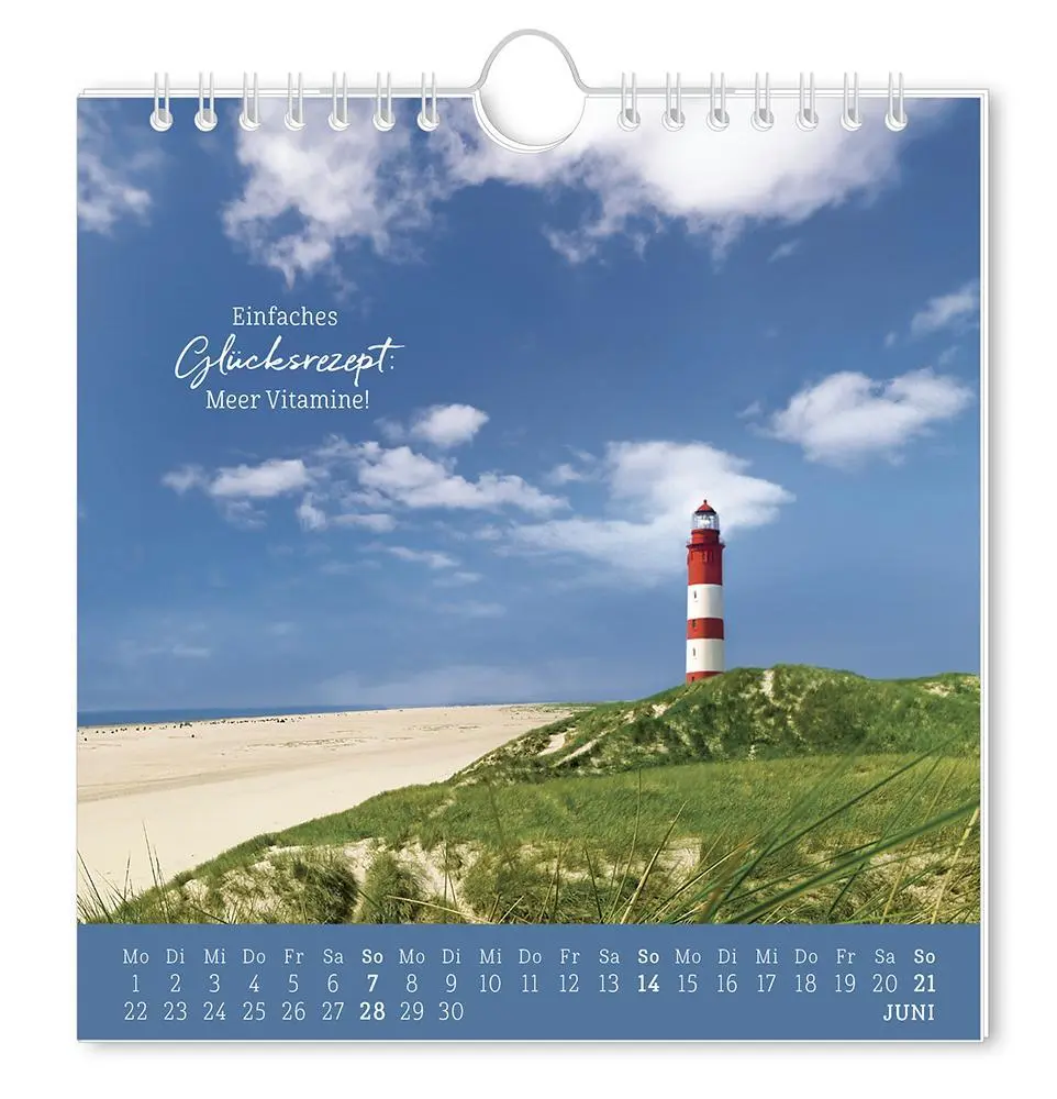 Bild: 9783986362010 | Postkartenkalender 2026 Strandgut | Postkartenkalender | Original