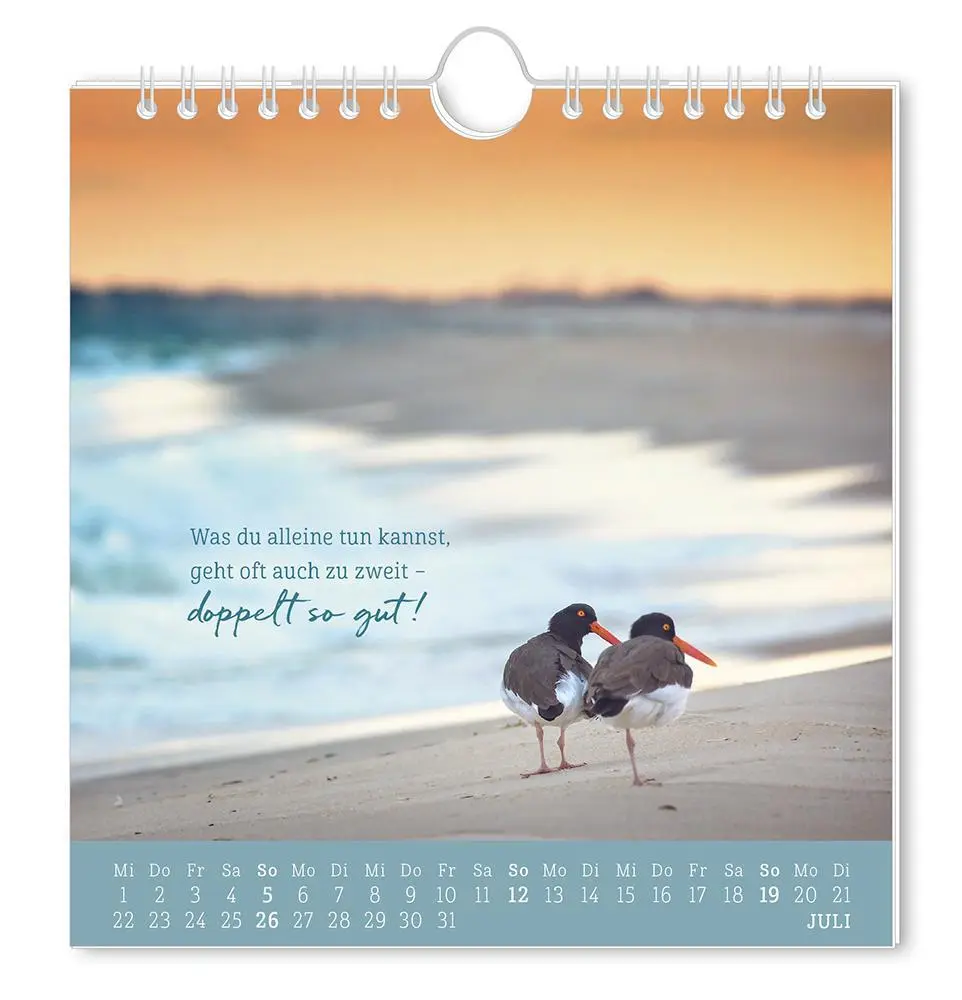 Bild: 9783986362010 | Postkartenkalender 2026 Strandgut | Postkartenkalender | Original