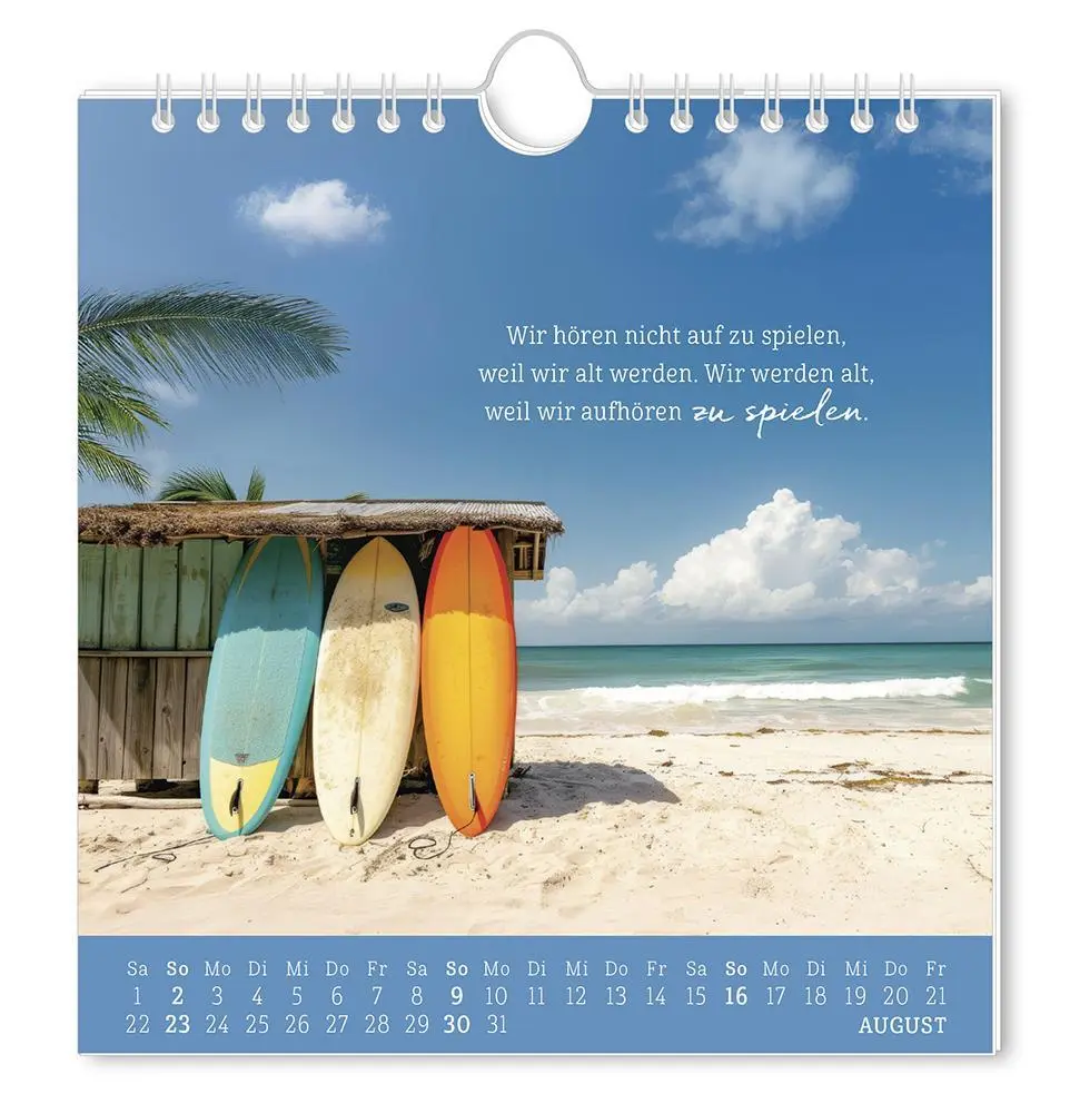 Bild: 9783986362010 | Postkartenkalender 2026 Strandgut | Postkartenkalender | Original