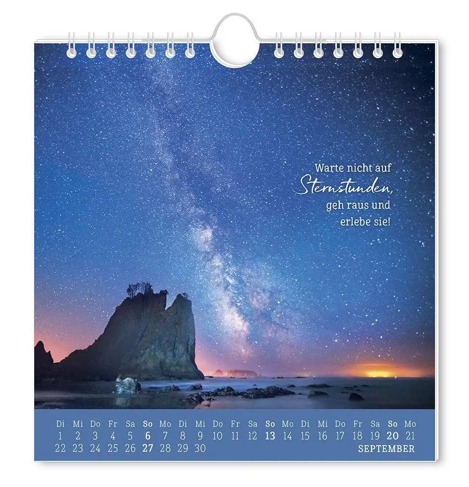 Bild: 9783986362010 | Postkartenkalender 2026 Strandgut | Postkartenkalender | Original