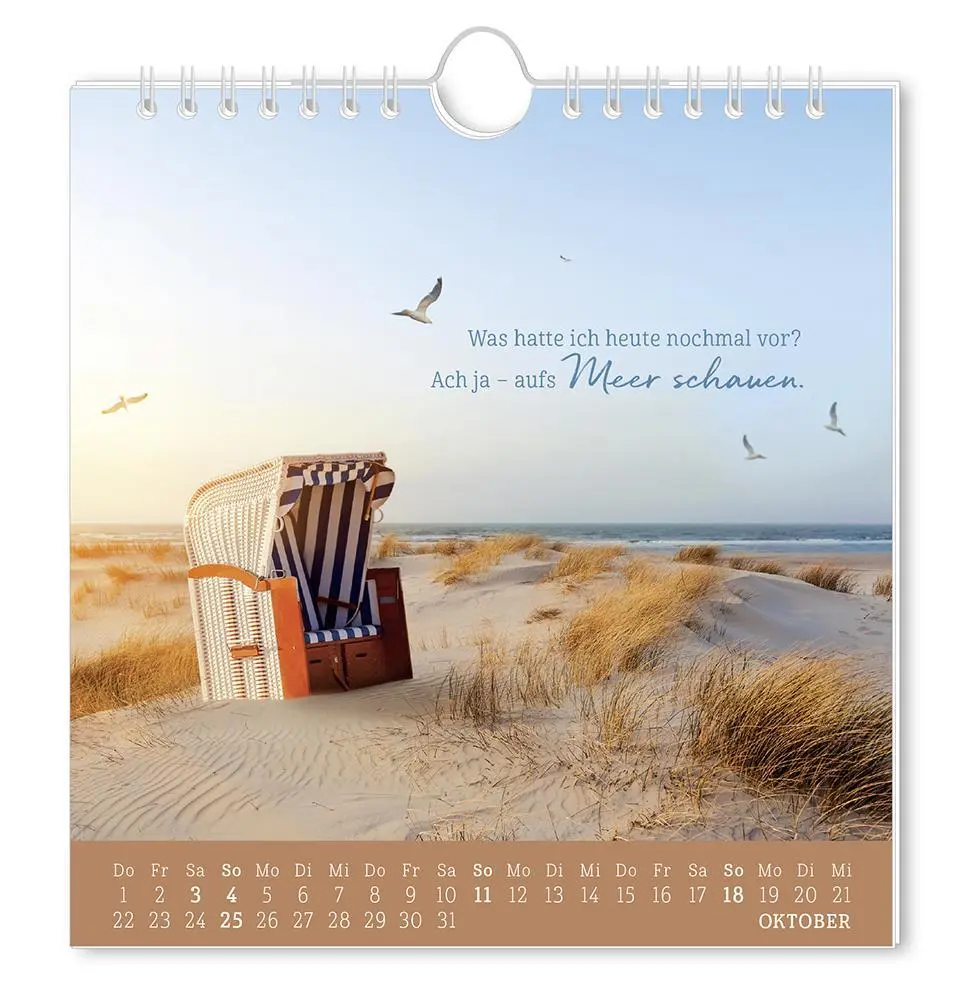 Bild: 9783986362010 | Postkartenkalender 2026 Strandgut | Postkartenkalender | Original