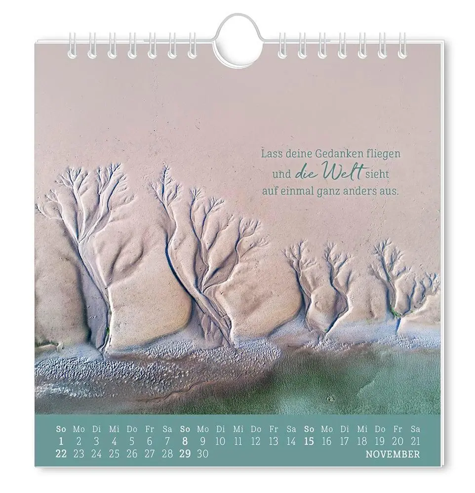 Bild: 9783986362010 | Postkartenkalender 2026 Strandgut | Postkartenkalender | Original