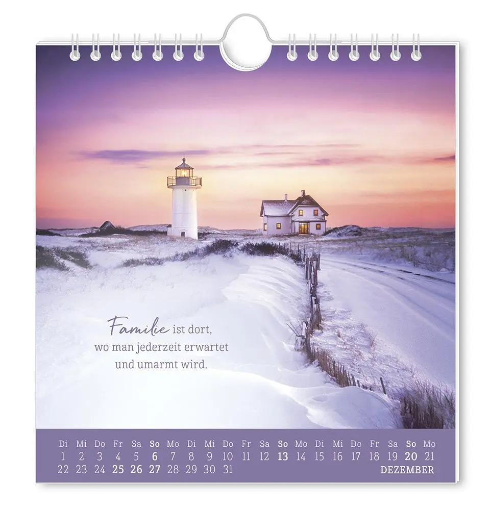 Bild: 9783986362010 | Postkartenkalender 2026 Strandgut | Postkartenkalender | Original