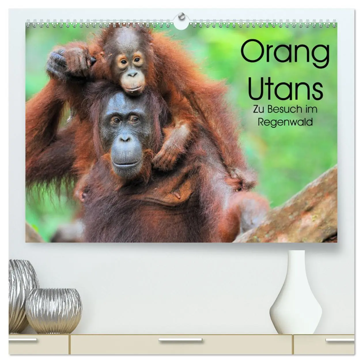 Cover: 9783457692110 | Orang Utans: Zu Besuch im Regenwald (hochwertiger Premium...
