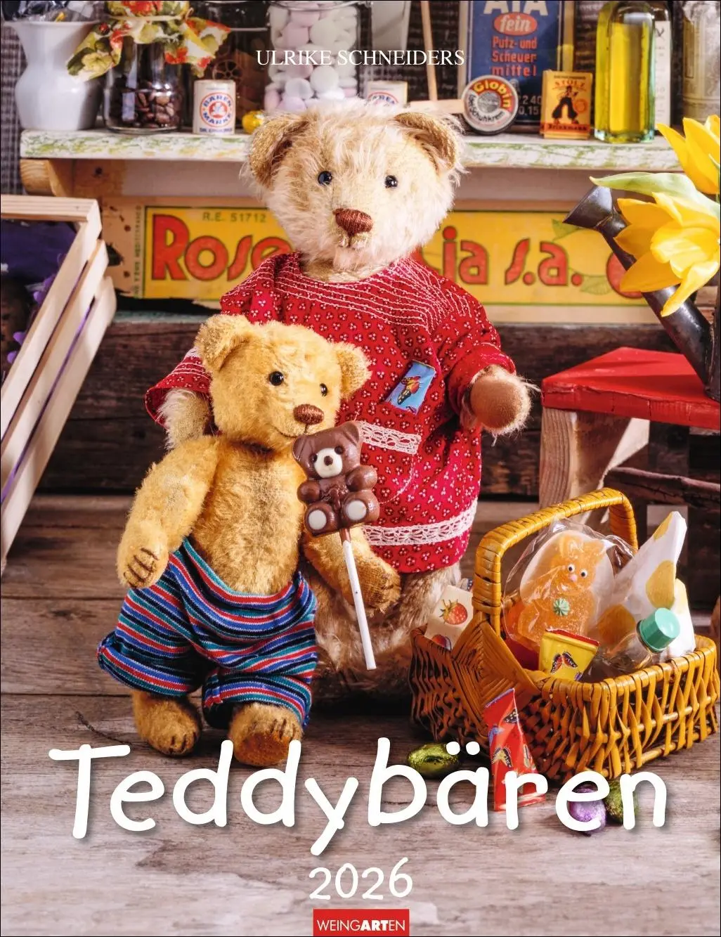 Cover: 9783839902110 | Teddybären Kalender 2026 | Gisela/Schneiders, Ulrike Hofmann | 14 S.