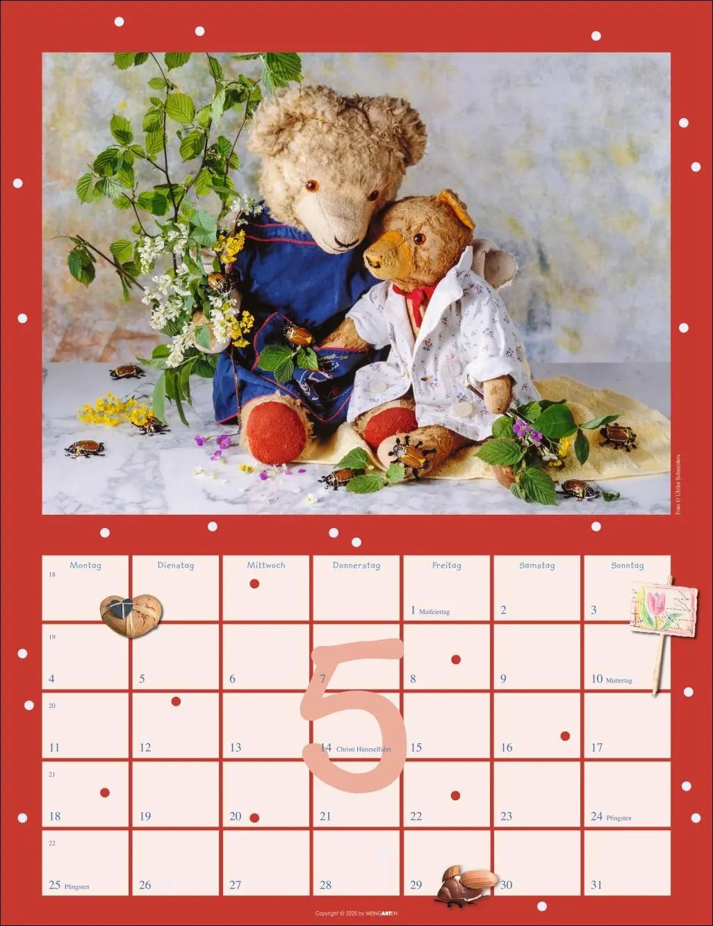 Bild: 9783839902110 | Teddybären Kalender 2026 | Gisela/Schneiders, Ulrike Hofmann | 14 S.