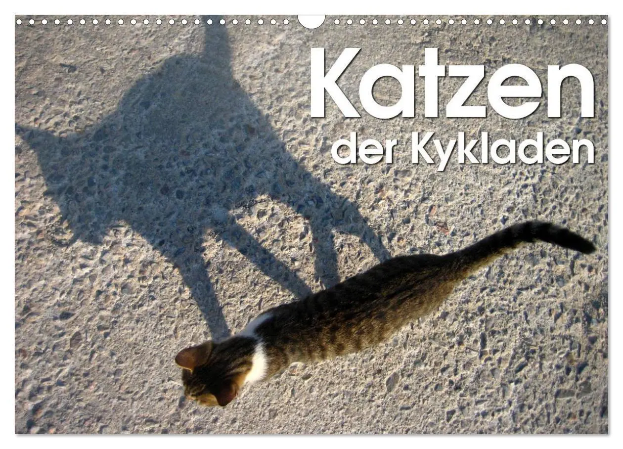 Cover: 9783516152210 | Katzen der Kykladen (Wandkalender 2026 DIN A3 quer), CALVENDO...