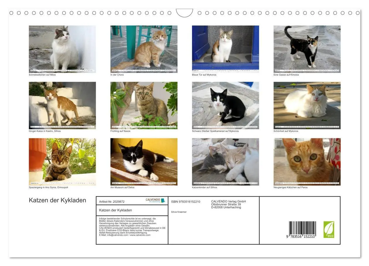 Bild: 9783516152210 | Katzen der Kykladen (Wandkalender 2026 DIN A3 quer), CALVENDO...