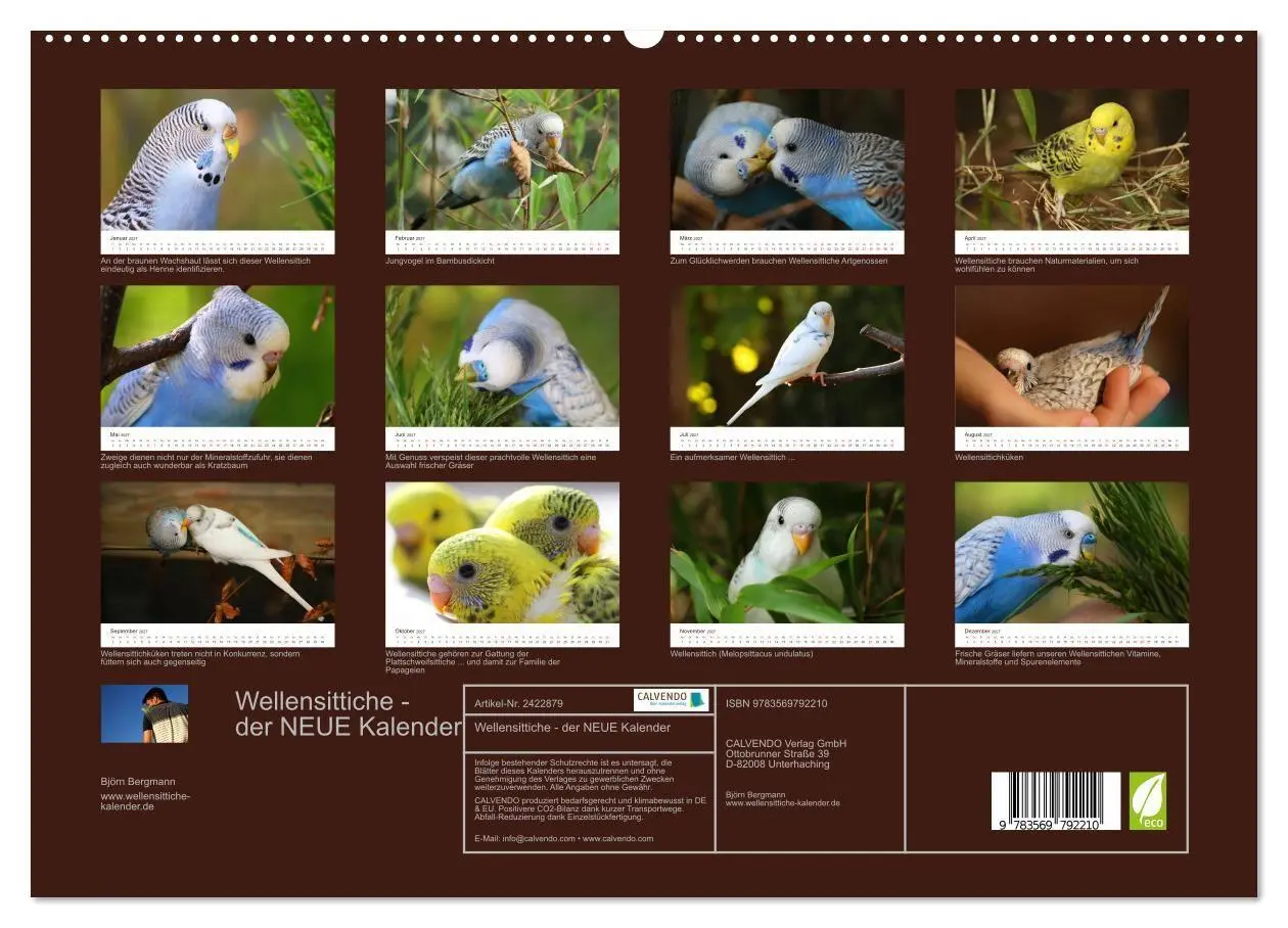 Bild: 9783569792210 | Wellensittiche - der NEUE Kalender (hochwertiger Premium...