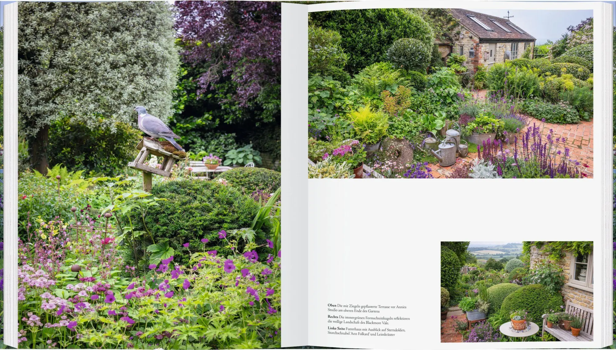 Bild: 9783836922210 | Die schönsten Cottage-Gärten Englands | Claire Foggett | Buch | 256 S.
