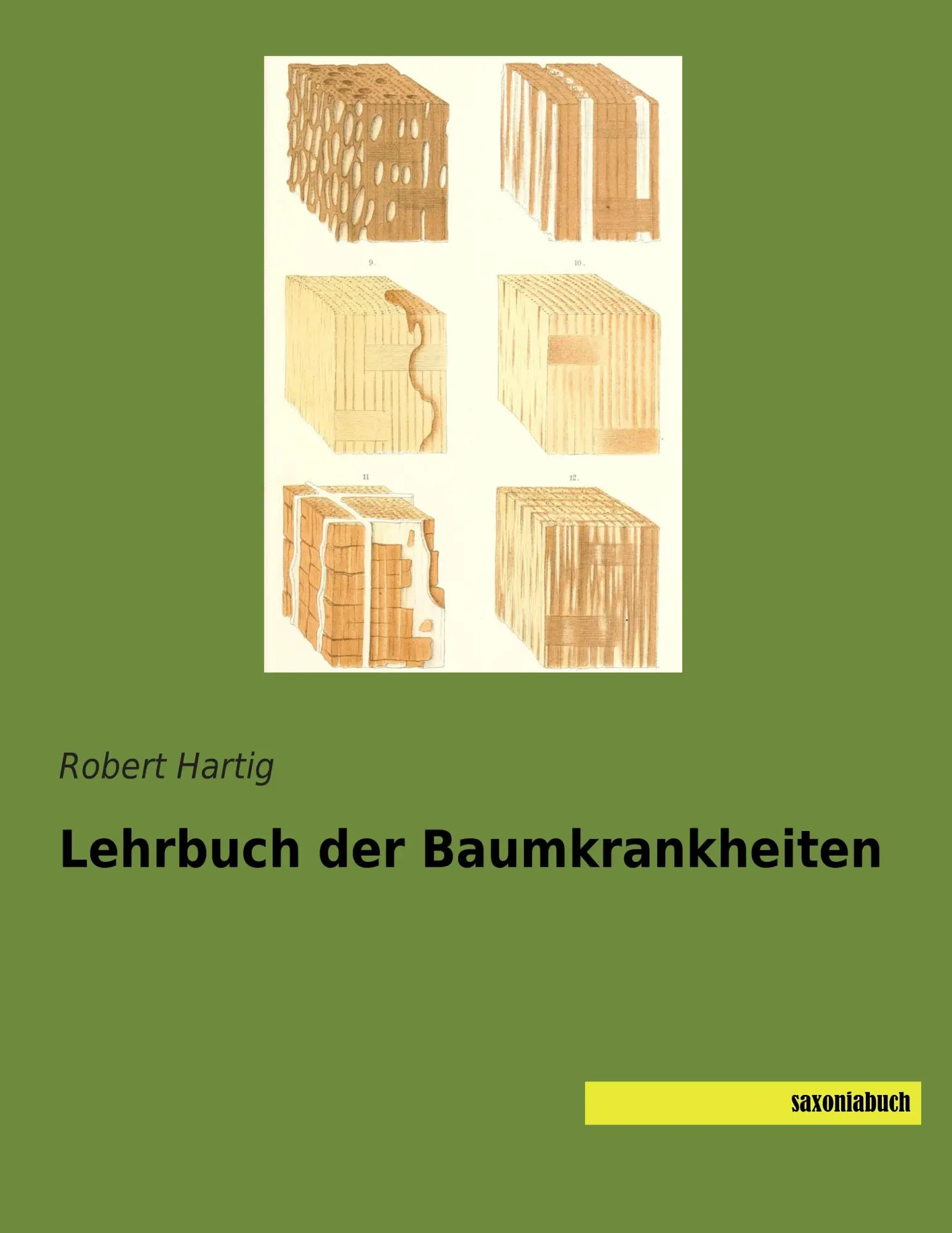 Cover: 9783957702210 | Lehrbuch der Baumkrankheiten | Robert Hartig | Taschenbuch | 304 S.