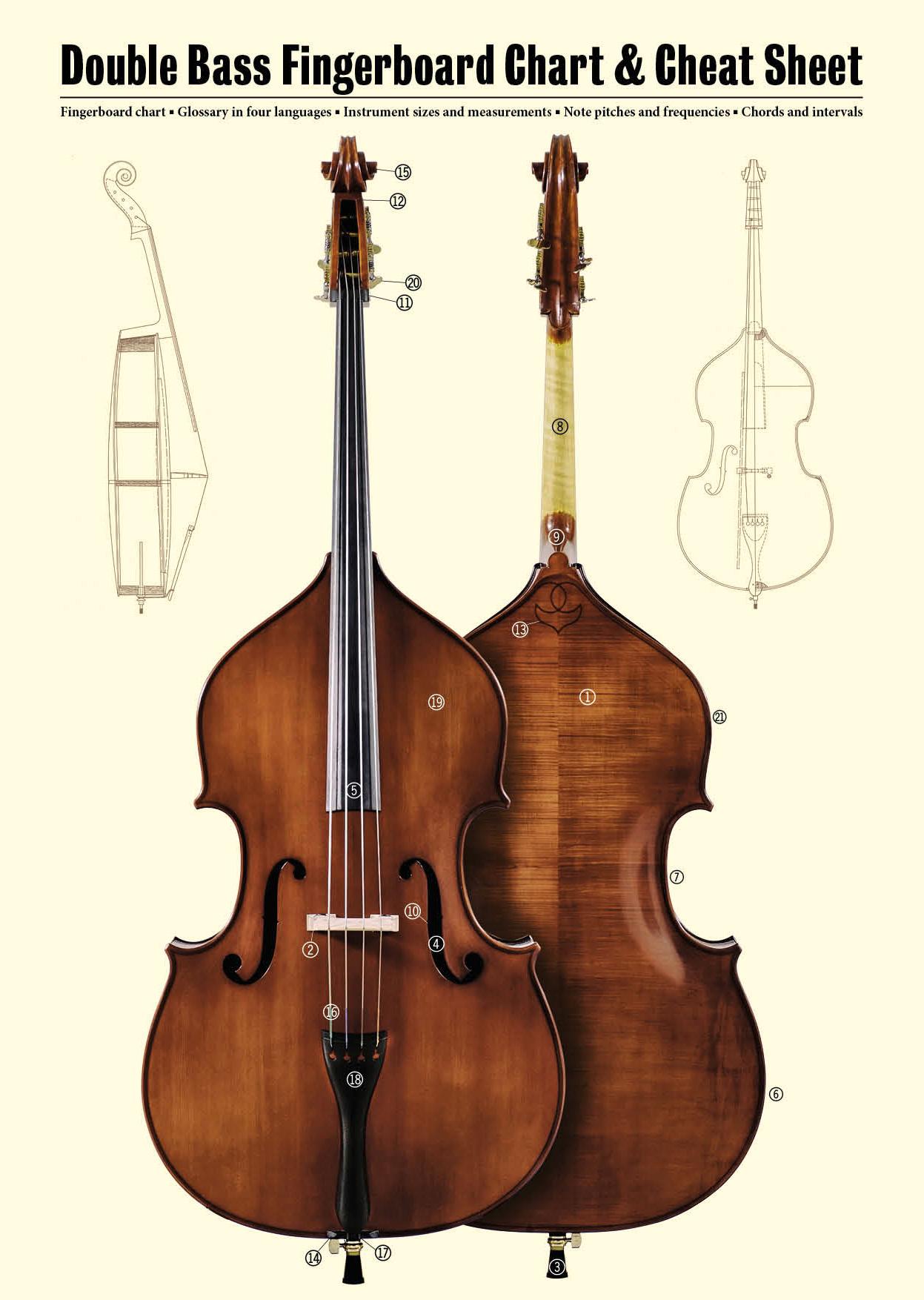 Cover: 9790000002210 | Double Bass Fingerboard Chart &amp; Cheat Sheet | Jonas Lohse | Buch