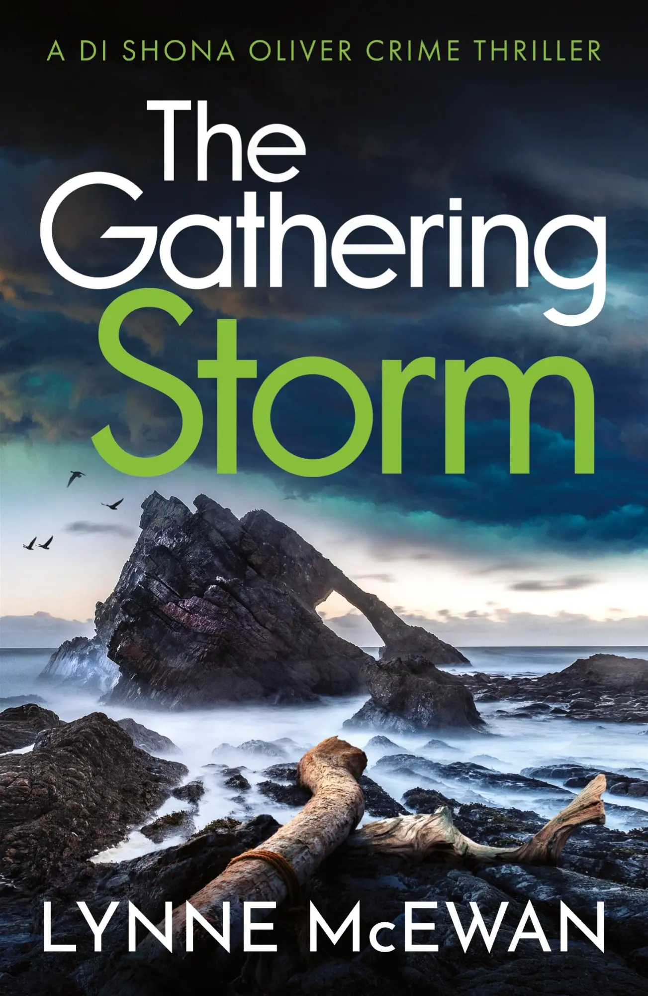 Cover: 9781804362310 | The Gathering Storm | Lynne McEwan | Taschenbuch | Englisch | 2024