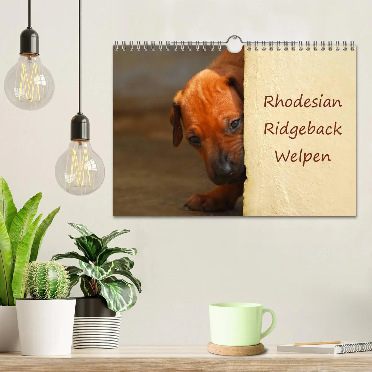 Bild: 9783516072310 | Rhodesian Ridgeback Welpen (Wandkalender 2026 DIN A4 quer),...