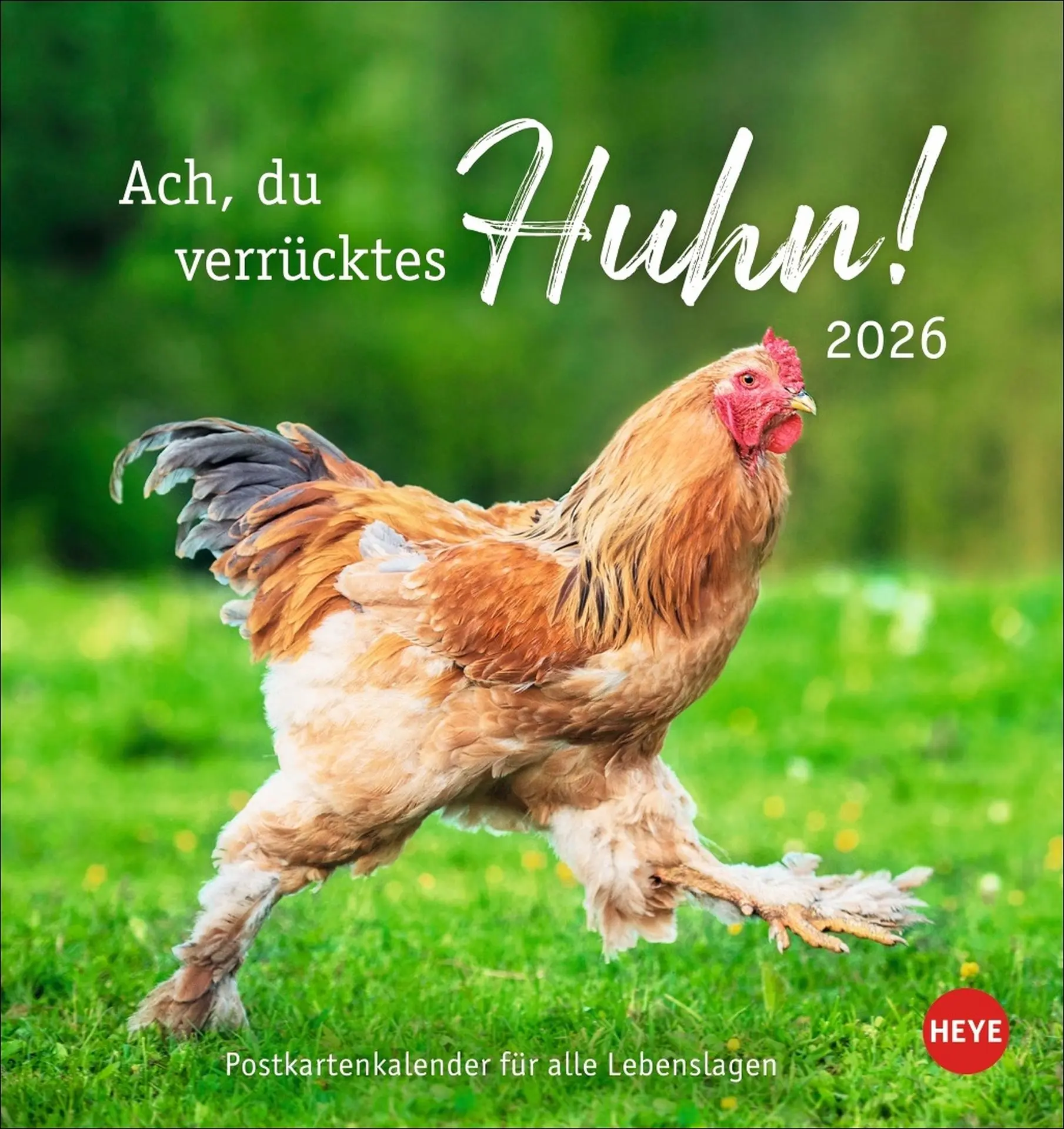 Cover: 9783756412310 | Hühner Postkartenkalender 2026 - Ach, du verrücktes Huhn! | Kalender