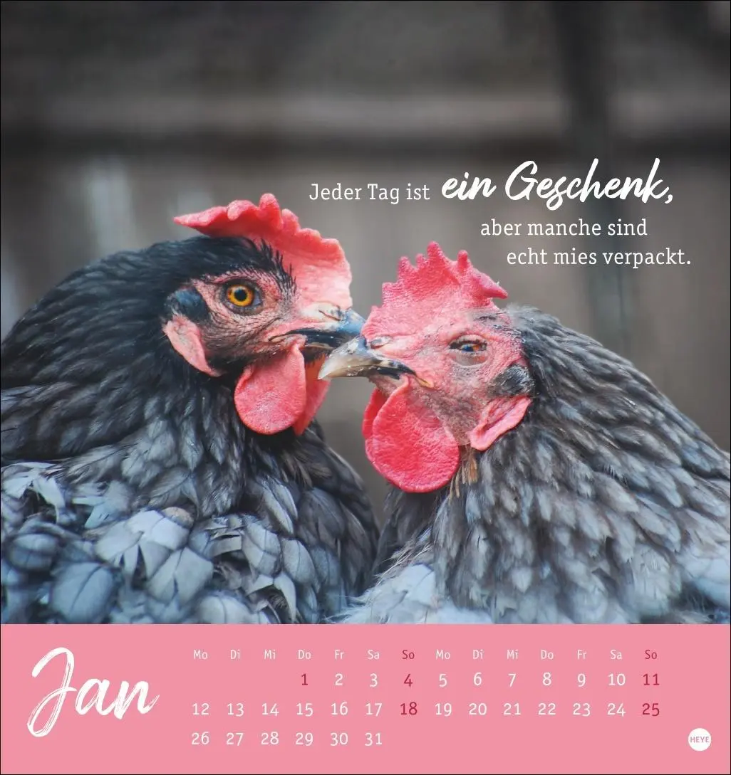 Bild: 9783756412310 | Hühner Postkartenkalender 2026 - Ach, du verrücktes Huhn! | Kalender