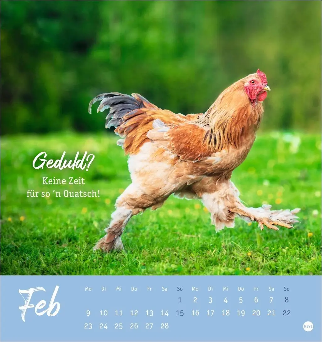 Bild: 9783756412310 | Hühner Postkartenkalender 2026 - Ach, du verrücktes Huhn! | Kalender