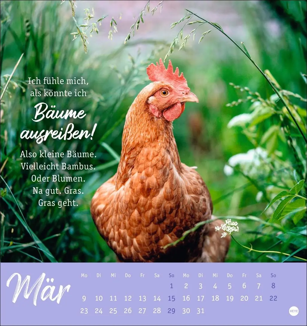 Bild: 9783756412310 | Hühner Postkartenkalender 2026 - Ach, du verrücktes Huhn! | Kalender