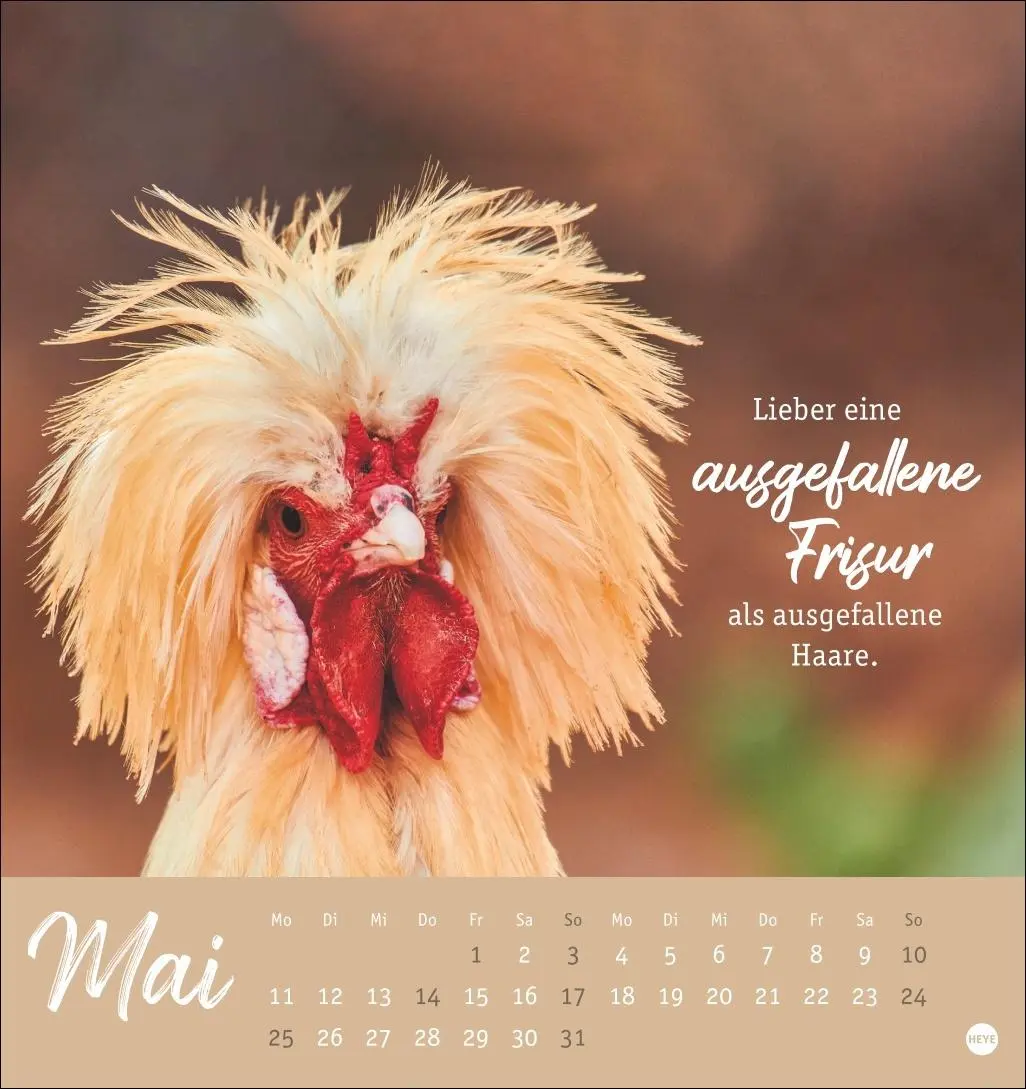 Bild: 9783756412310 | Hühner Postkartenkalender 2026 - Ach, du verrücktes Huhn! | Kalender