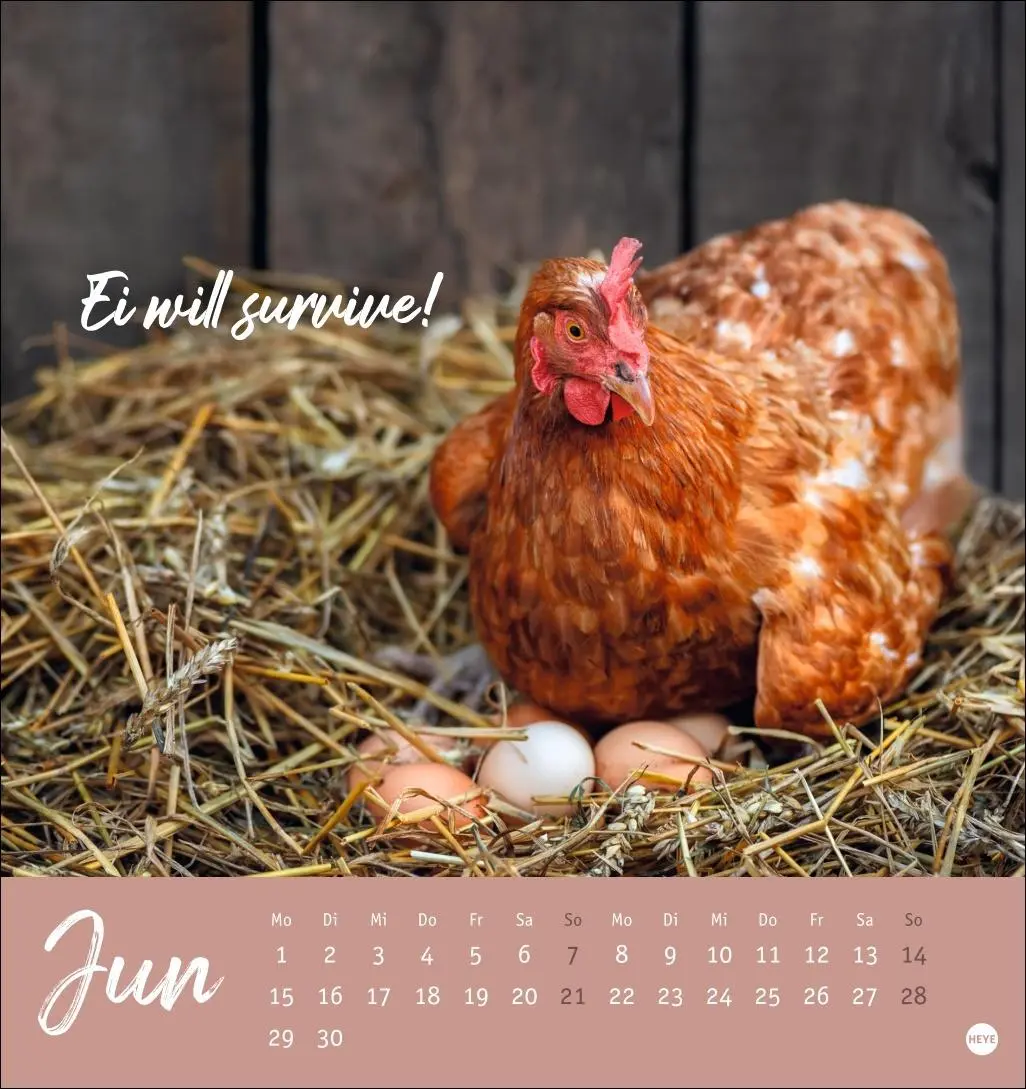 Bild: 9783756412310 | Hühner Postkartenkalender 2026 - Ach, du verrücktes Huhn! | Kalender