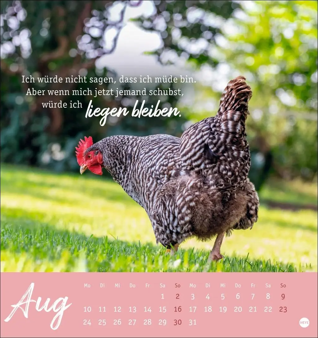 Bild: 9783756412310 | Hühner Postkartenkalender 2026 - Ach, du verrücktes Huhn! | Kalender