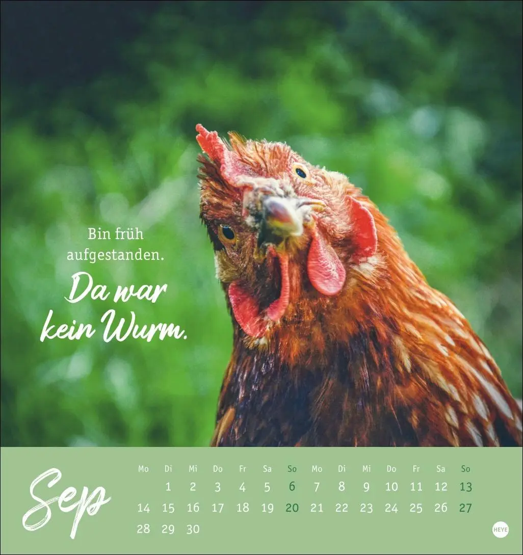 Bild: 9783756412310 | Hühner Postkartenkalender 2026 - Ach, du verrücktes Huhn! | Kalender