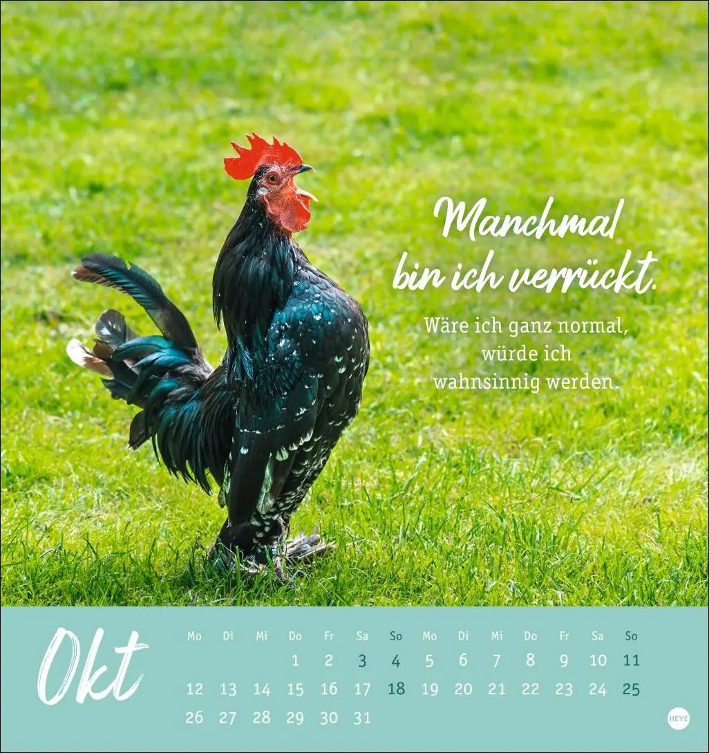 Bild: 9783756412310 | Hühner Postkartenkalender 2026 - Ach, du verrücktes Huhn! | Kalender