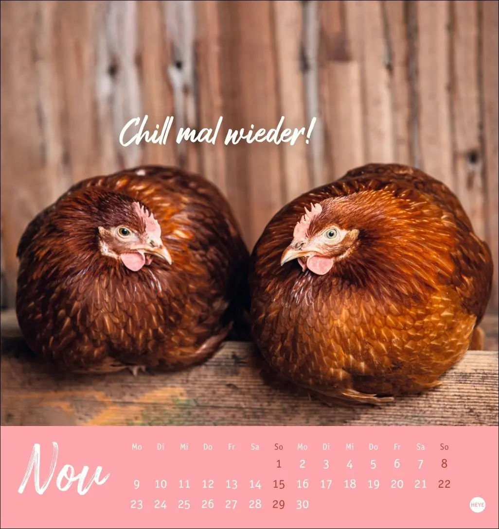 Bild: 9783756412310 | Hühner Postkartenkalender 2026 - Ach, du verrücktes Huhn! | Kalender