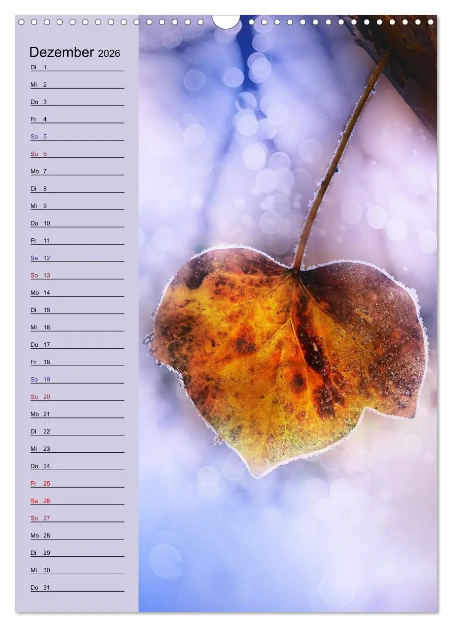 Bild: 9783516372410 | Pastell-Zauber (Wandkalender 2026 DIN A3 hoch), CALVENDO...