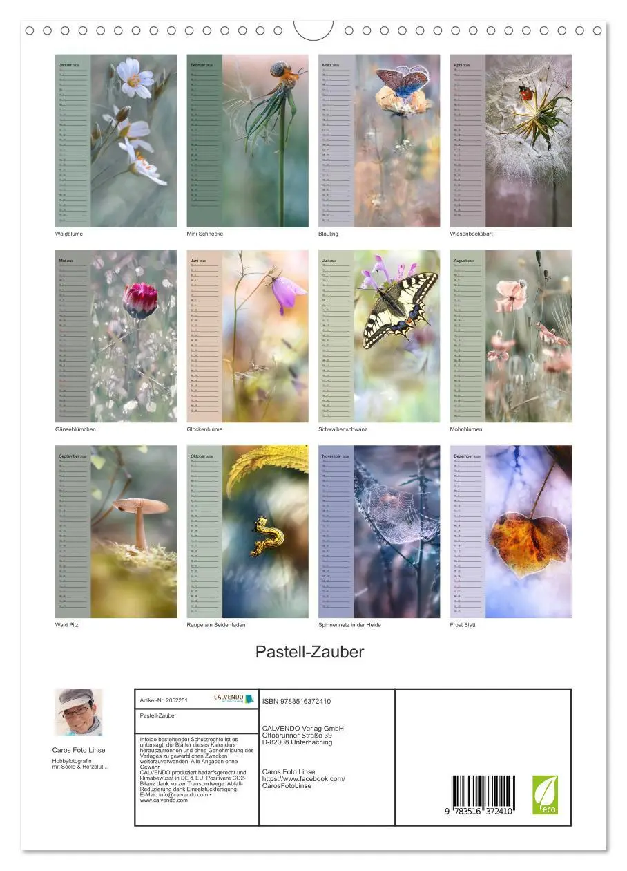 Bild: 9783516372410 | Pastell-Zauber (Wandkalender 2026 DIN A3 hoch), CALVENDO...