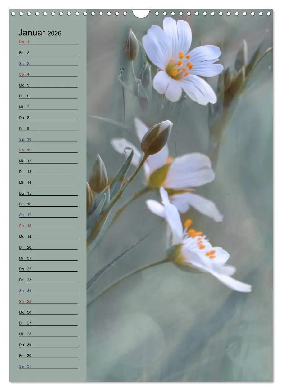 Bild: 9783516372410 | Pastell-Zauber (Wandkalender 2026 DIN A3 hoch), CALVENDO...