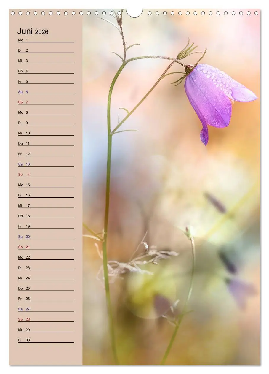 Bild: 9783516372410 | Pastell-Zauber (Wandkalender 2026 DIN A3 hoch), CALVENDO...
