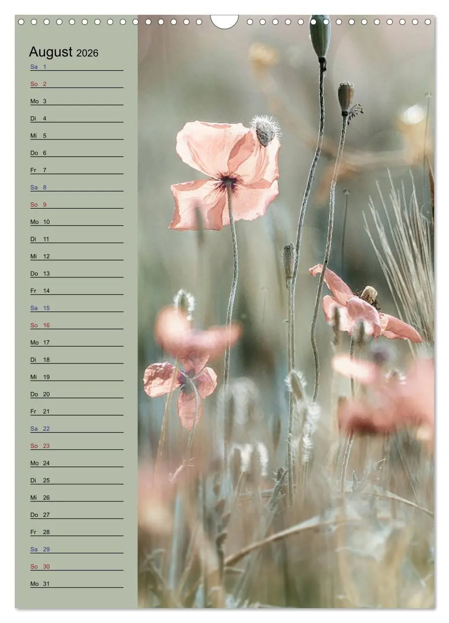 Bild: 9783516372410 | Pastell-Zauber (Wandkalender 2026 DIN A3 hoch), CALVENDO...