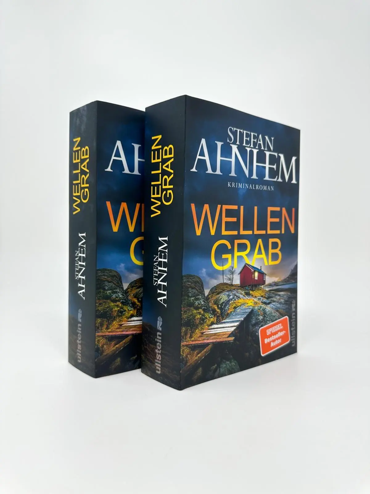 Bild: 9783864932410 | Wellengrab | Stefan Ahnhem | Taschenbuch | Ein Fabian-Risk-Krimi