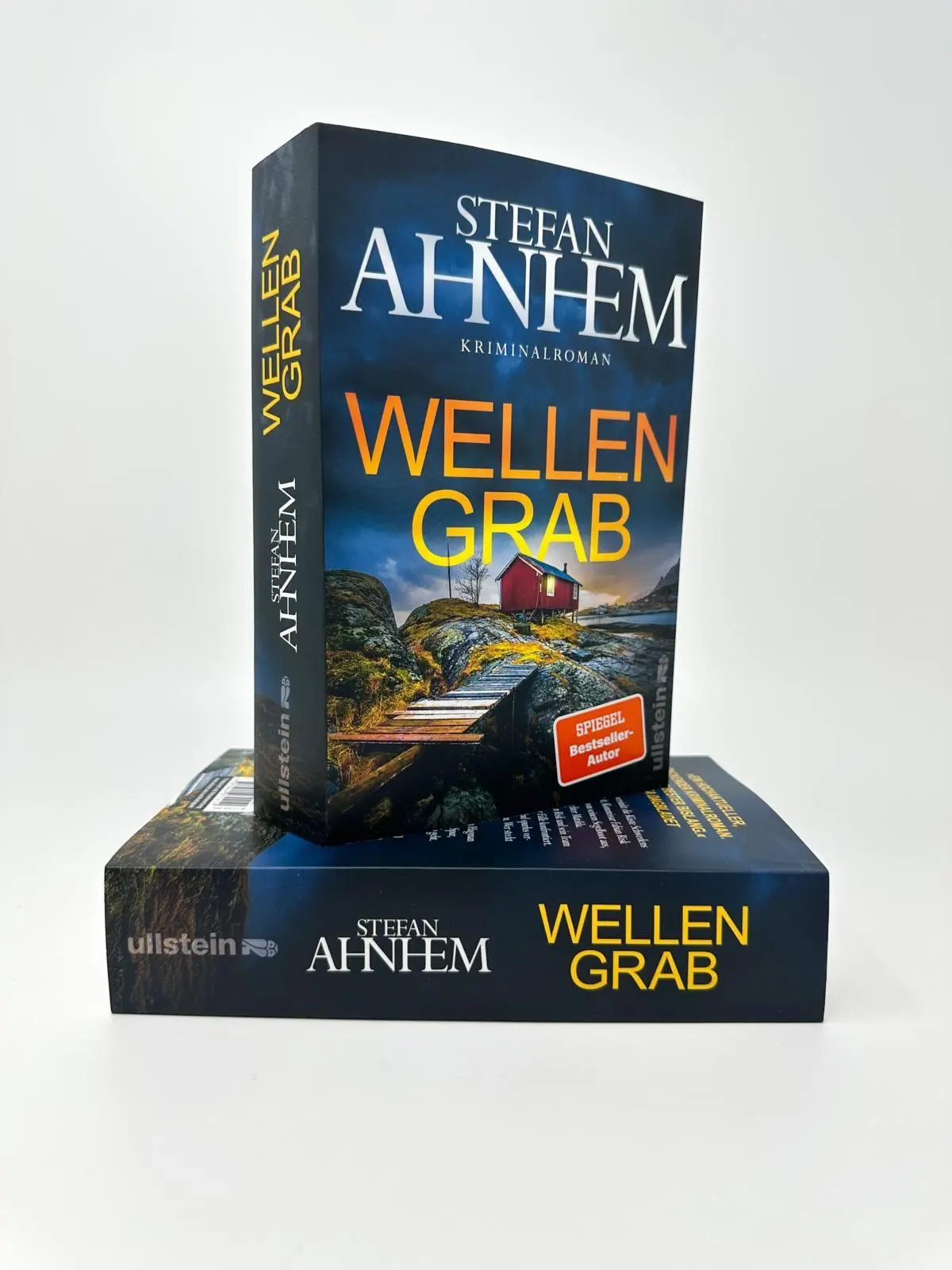 Bild: 9783864932410 | Wellengrab | Stefan Ahnhem | Taschenbuch | Ein Fabian-Risk-Krimi