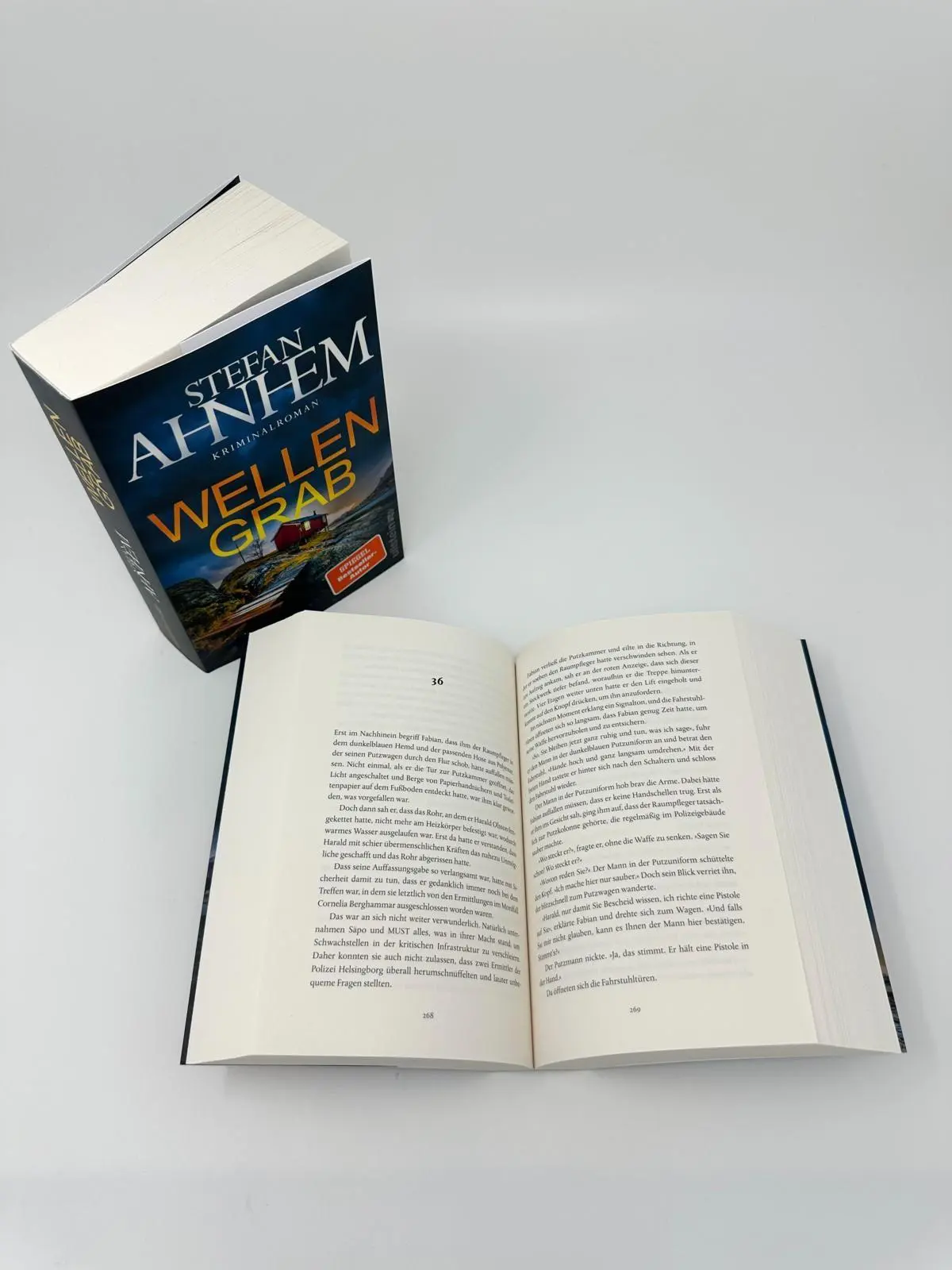 Bild: 9783864932410 | Wellengrab | Stefan Ahnhem | Taschenbuch | Ein Fabian-Risk-Krimi
