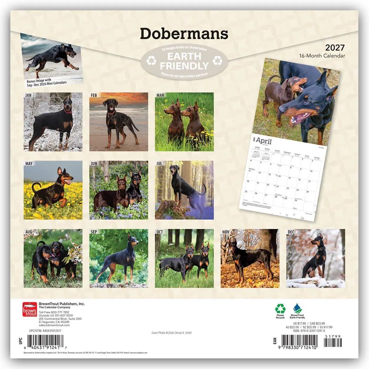 Rückseite: 9798330712410 | Dobermans - Dobermann 2027 - 16-Monatskalender | Browntrout Publishers