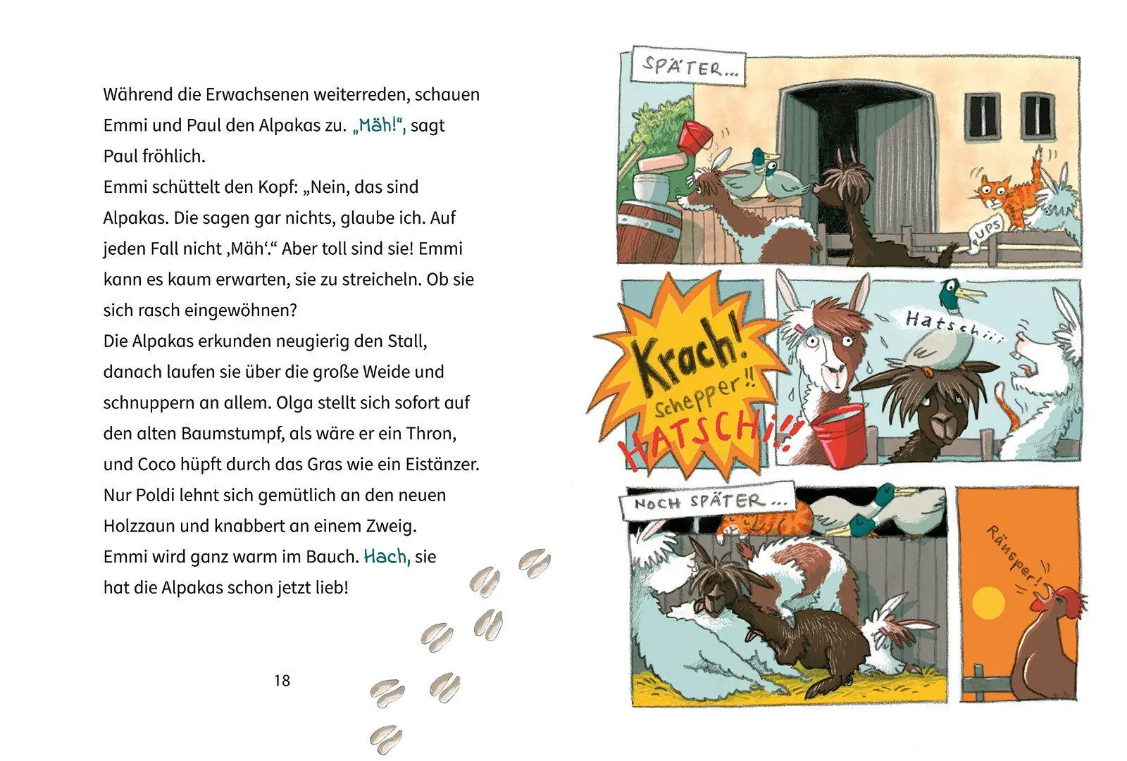 Bild: 9783401722610 | Die wilde Alpaka-Bande (1). Zicke, zacke, Spuck-Attacke! | Grimm